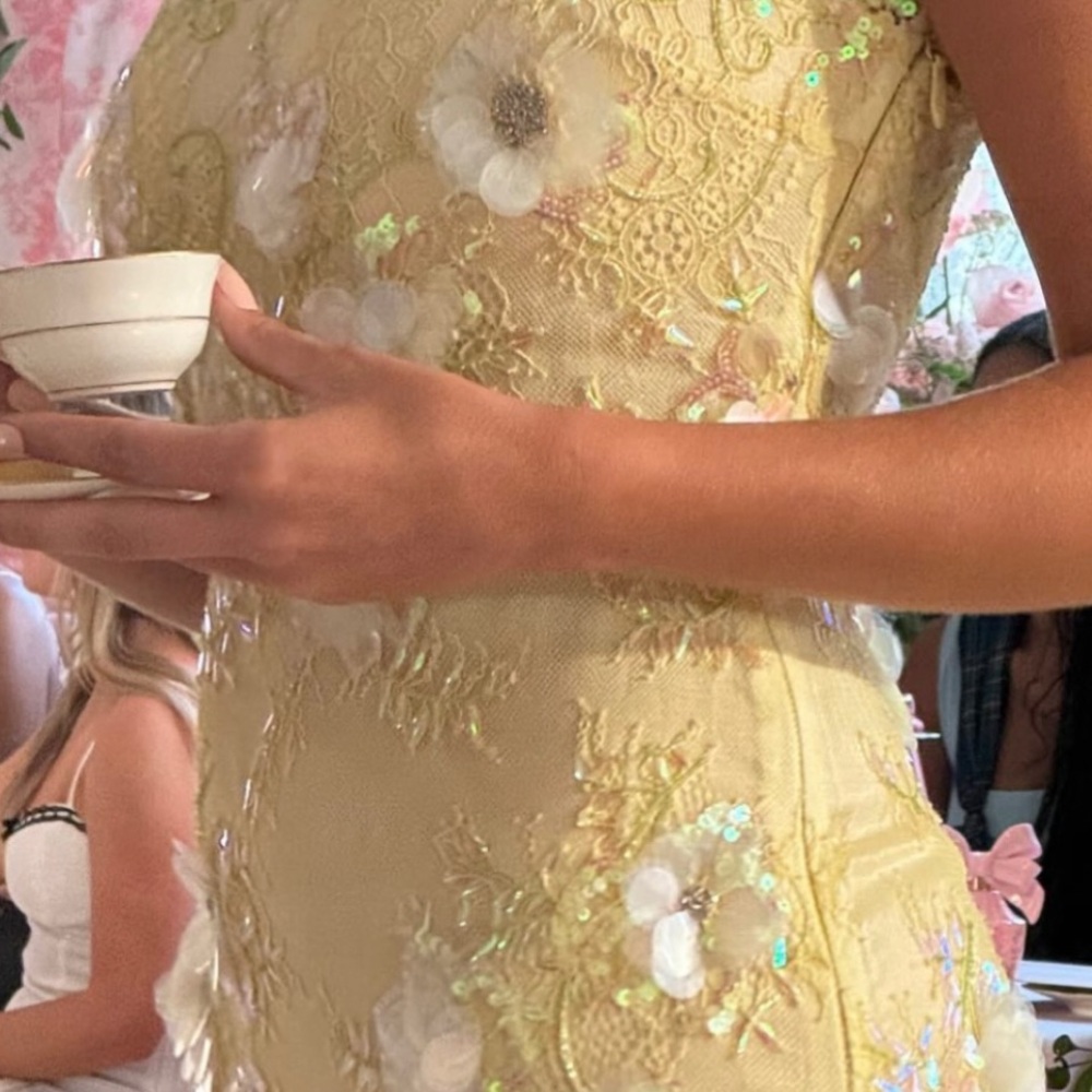 LoveShackFancy Emalia Beaded Yellow French Lace Dress - Picture 15 of 15